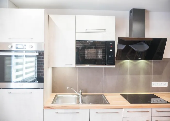 Daire Sleep In Alsace - Balcon - Centre *